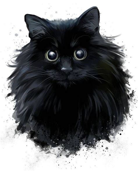 black cat sketch|fluffy black cat drawing.